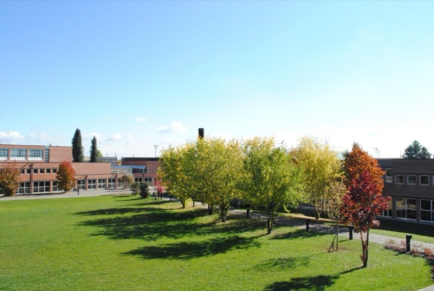 citta-studi-1